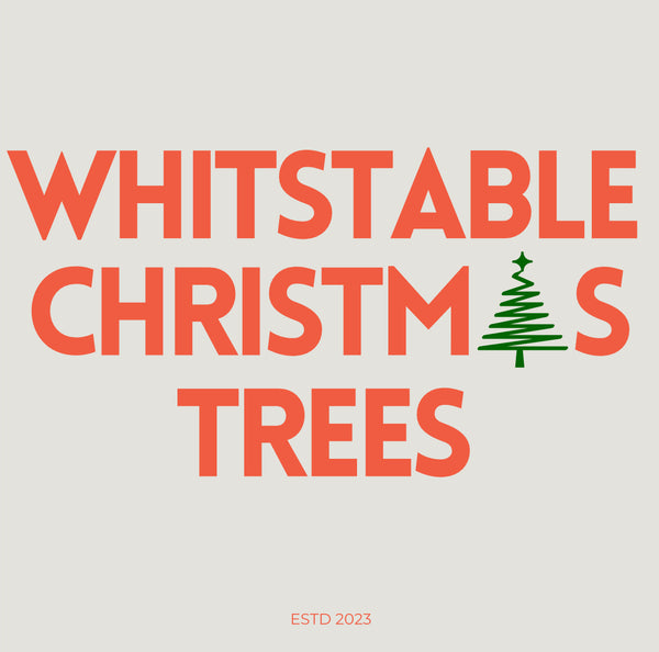 Whitstable Christmas Trees